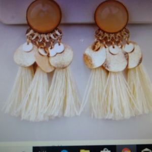Trendy tassel earrings